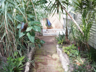 Eifalia Schmetterlingsgarten