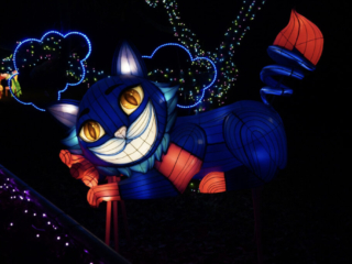 Garden of Lights Garden of Lights