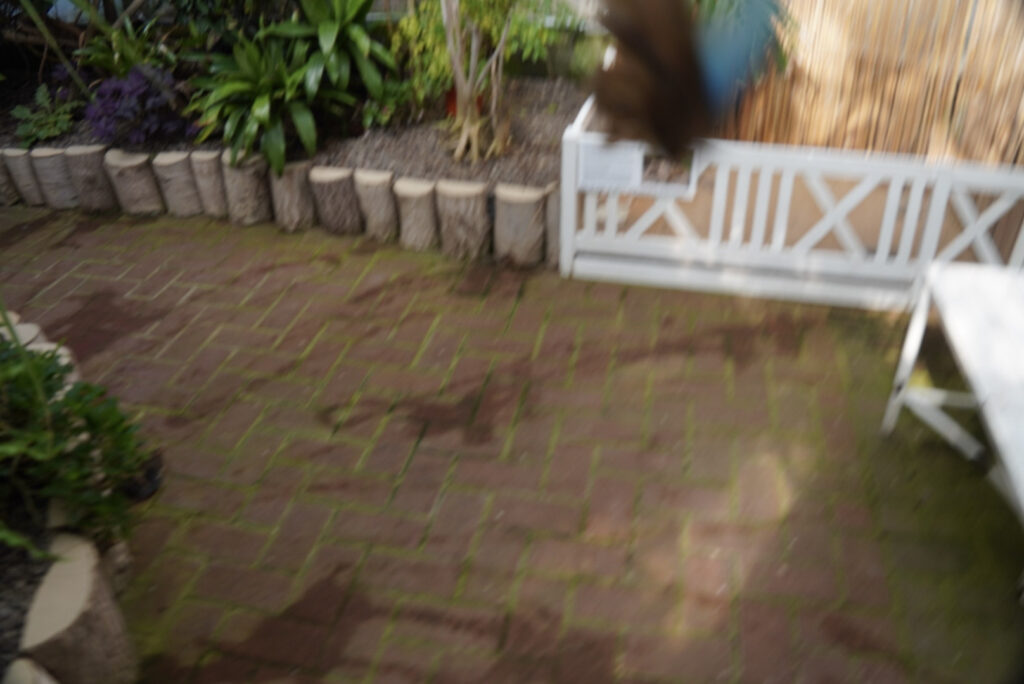 Eifalia Schmetterlingsgarten