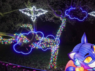 Garden of Lights Garden of Lights