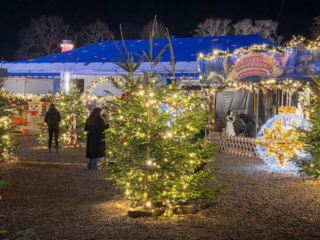 Cranger Weihnachtszauber