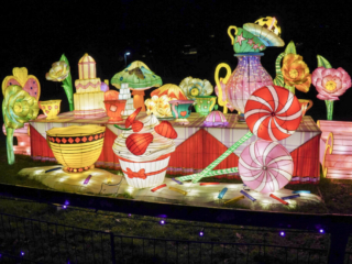 Garden of Lights Garden of Lights