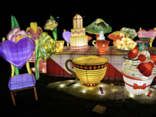 Garden of Lights Garden of Lights