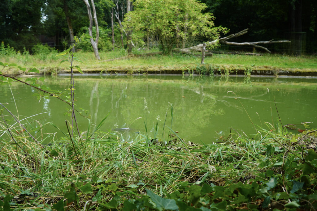 Burgers' Zoo Burgers' Zoo