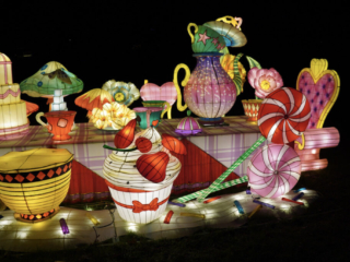 Garden of Lights Garden of Lights