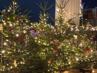 Cranger Weihnachtszauber