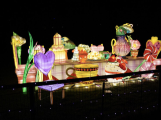 Garden of Lights Garden of Lights