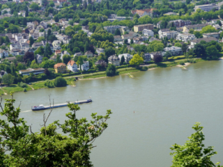 Bootsfahrt und Besuch des Drachenfelsens