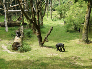 Burgers' Zoo