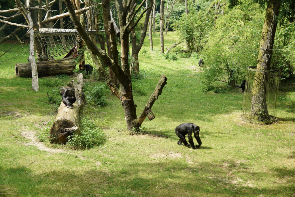 Burgers' Zoo Burgers' Zoo