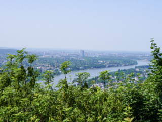 Bootsfahrt und Besuch des Drachenfelsens