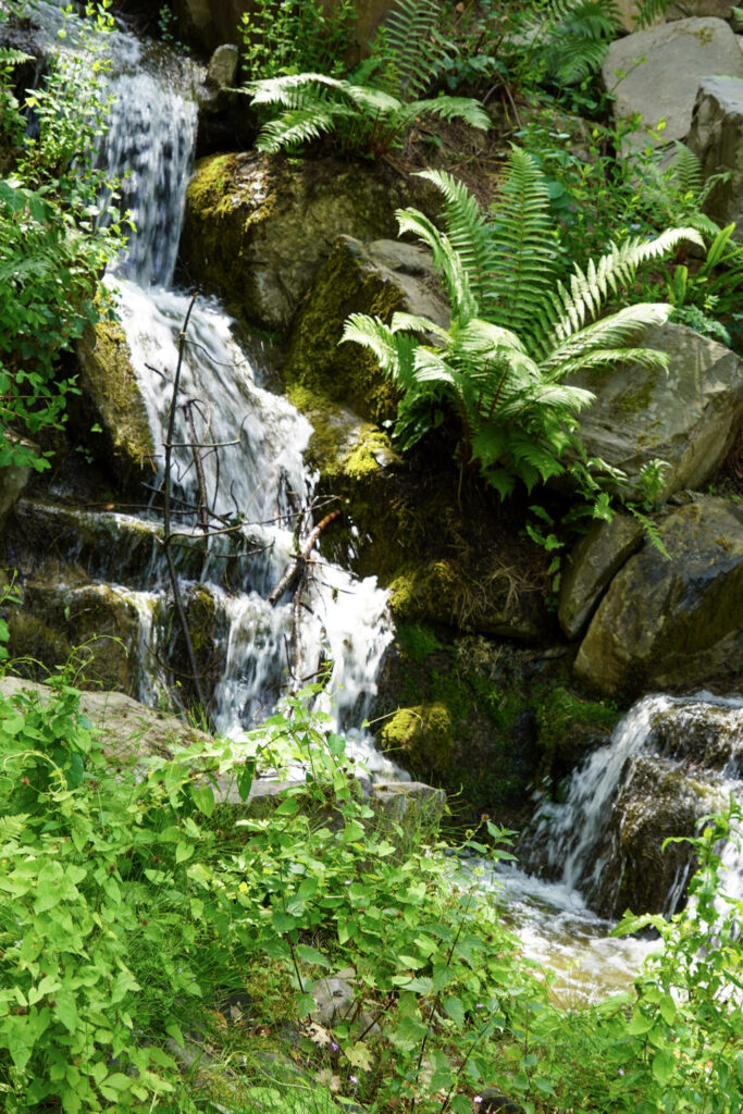 El Mundo Fantasia - Mondo Verde