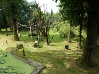 Burgers' Zoo