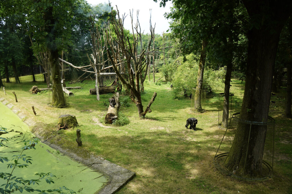 Burgers' Zoo Burgers' Zoo