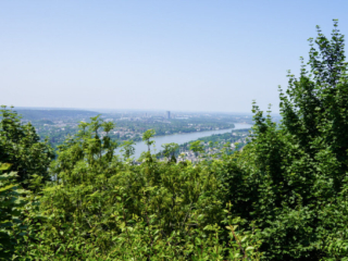 Bootsfahrt und Besuch des Drachenfelsens