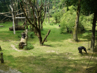 Burgers' Zoo