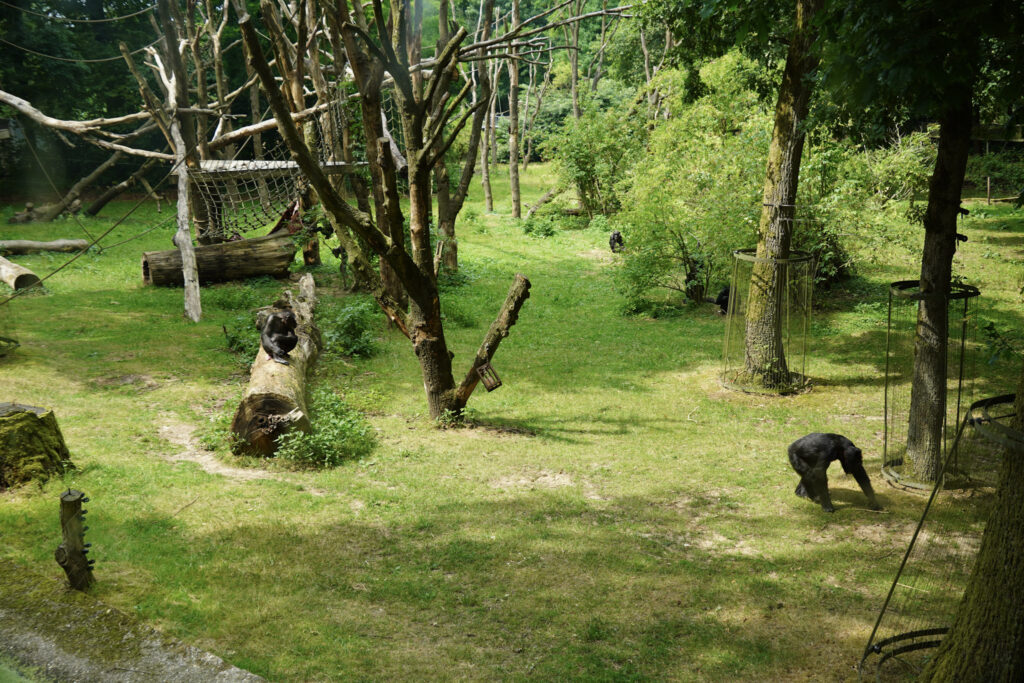 Burgers' Zoo Burgers' Zoo