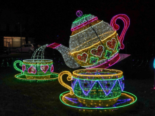 Garden of Lights Garden of Lights