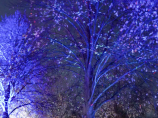Herbstlichter Brückenkopfpark Jülich Herbstlichter Brückenkopfpark Jülich