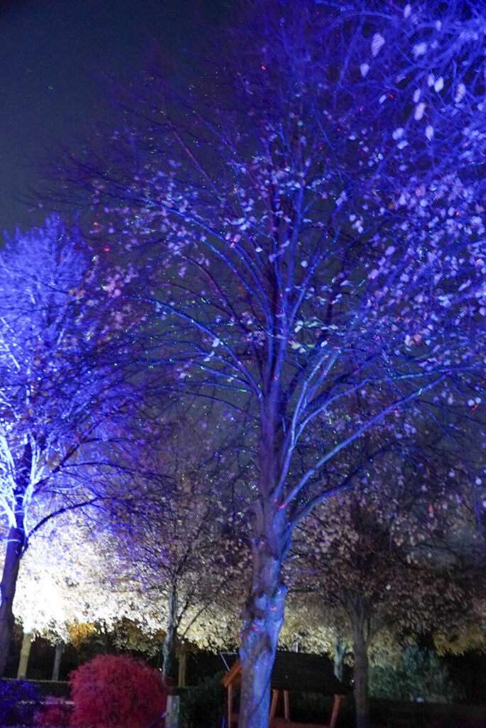 Herbstlichter Br&uuml;ckenkopfpark J&uuml;lich