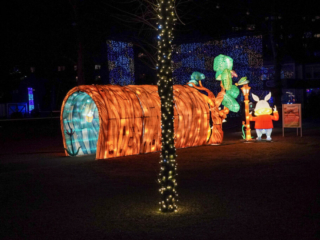 Garden of Lights Garden of Lights