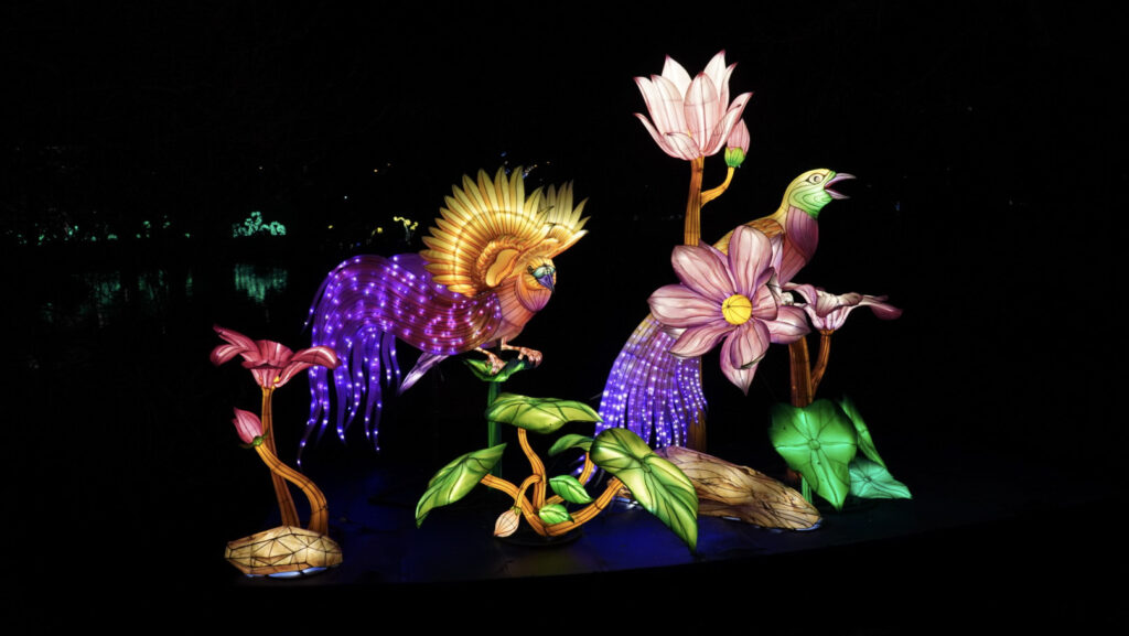 China Lights im K&ouml;lner Zoo