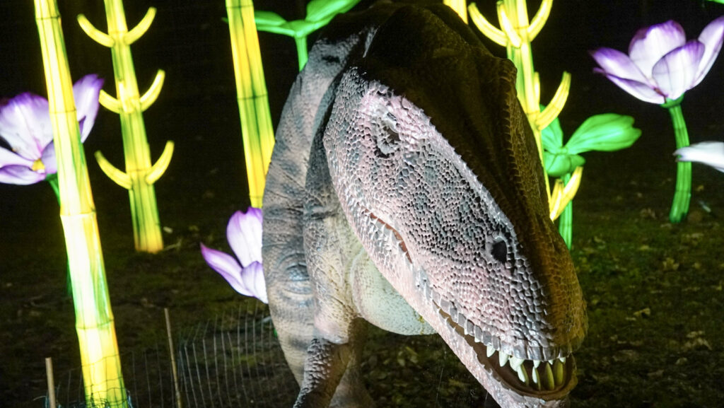 China Lights im K&ouml;lner Zoo