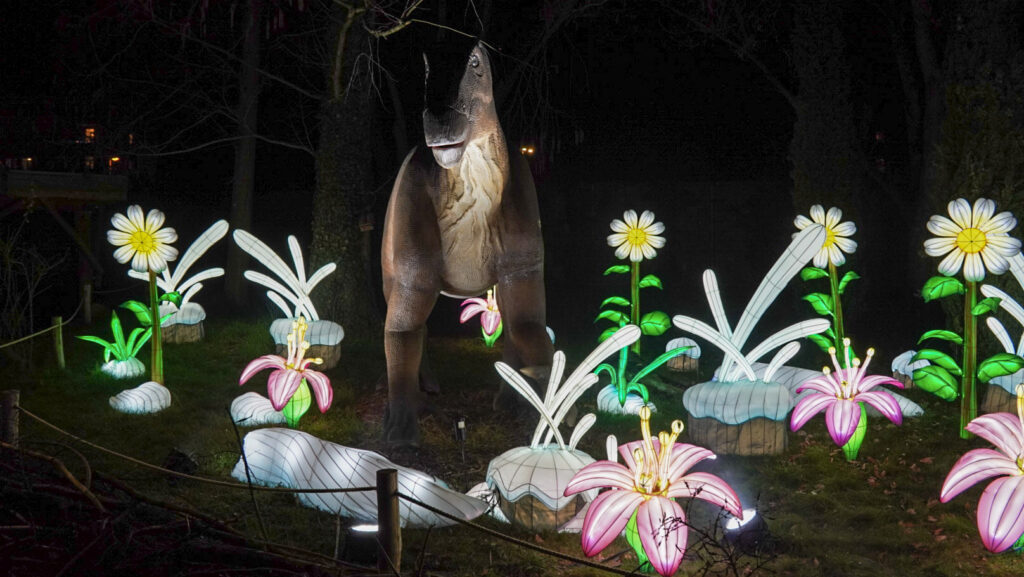 China Lights im K&ouml;lner Zoo