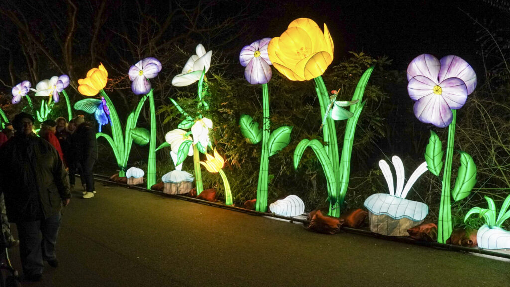 China Lights im K&ouml;lner Zoo