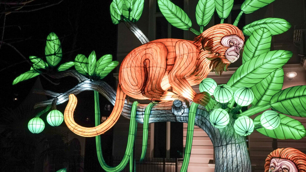 China Lights im K&ouml;lner Zoo