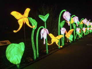 China Lights im K&ouml;lner Zoo