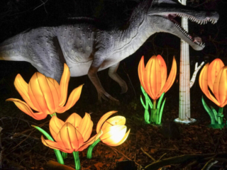 China Lights im K&ouml;lner Zoo