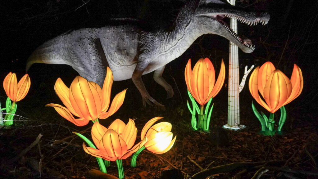 China Lights im K&ouml;lner Zoo