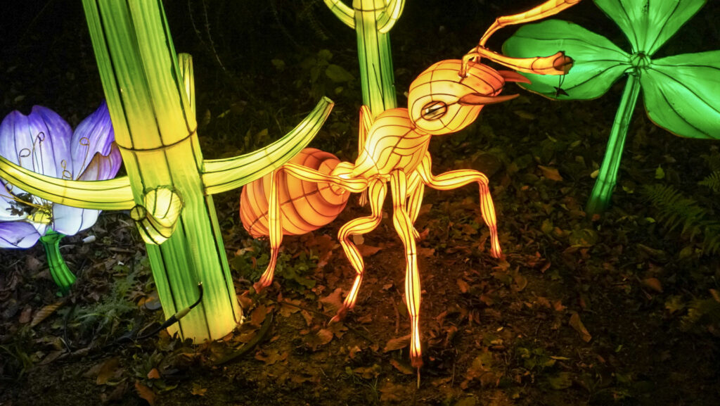 China Lights im K&ouml;lner Zoo