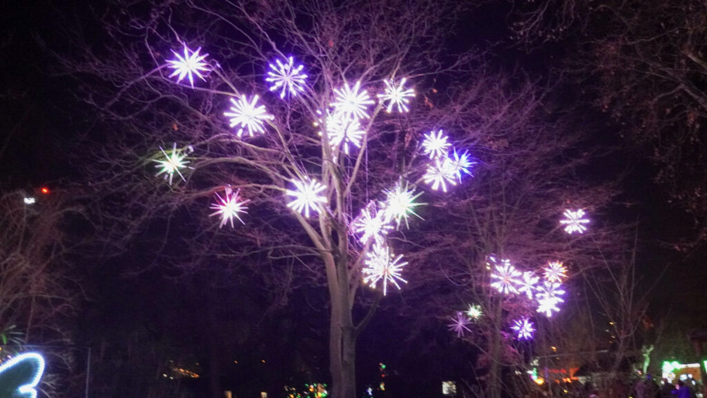 China Lights im K&ouml;lner Zoo