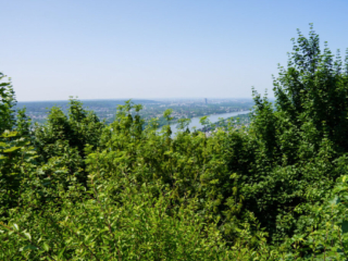 Bootsfahrt und Besuch des Drachenfelsens