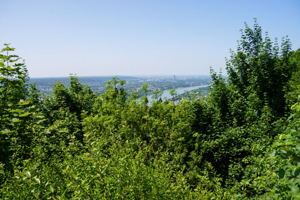 Bootsfahrt und Besuch des Drachenfelsens
