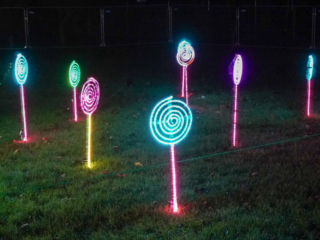 Garden of Lights Garden of Lights