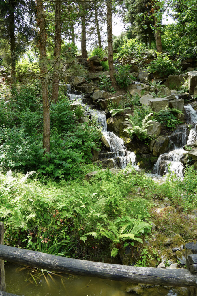 El Mundo Fantasia - Mondo Verde