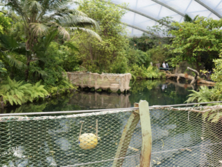 Burgers' Zoo