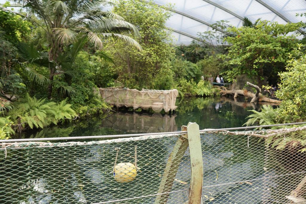 Burgers' Zoo Burgers' Zoo