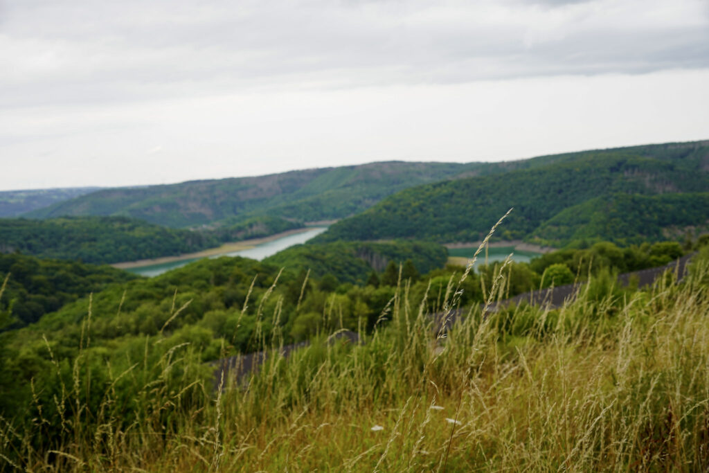 NS Ordensburg Vogelsang