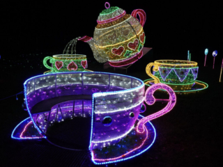 Garden of Lights Garden of Lights