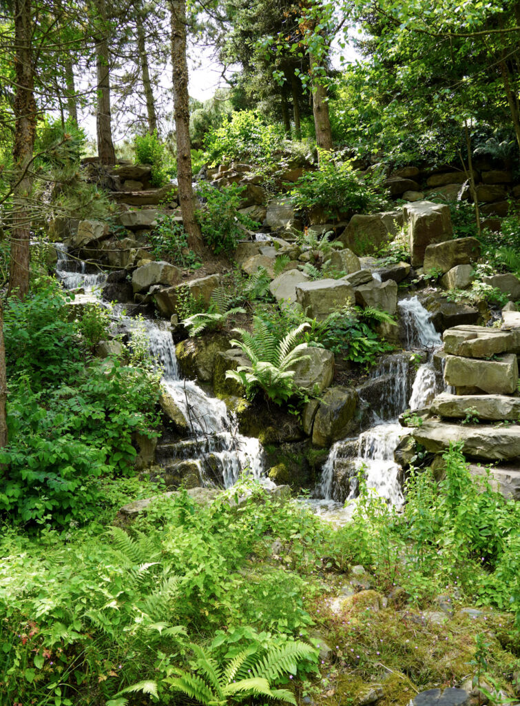 El Mundo Fantasia - Mondo Verde