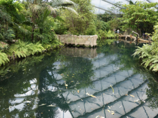 Burgers' Zoo