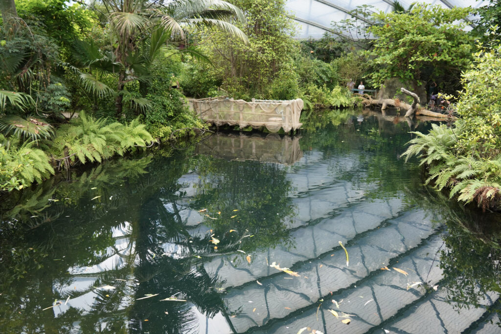 Burgers' Zoo Burgers' Zoo