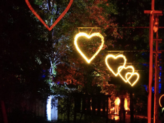 Herbstlichter Brückenkopfpark Jülich Herbstlichter Brückenkopfpark Jülich