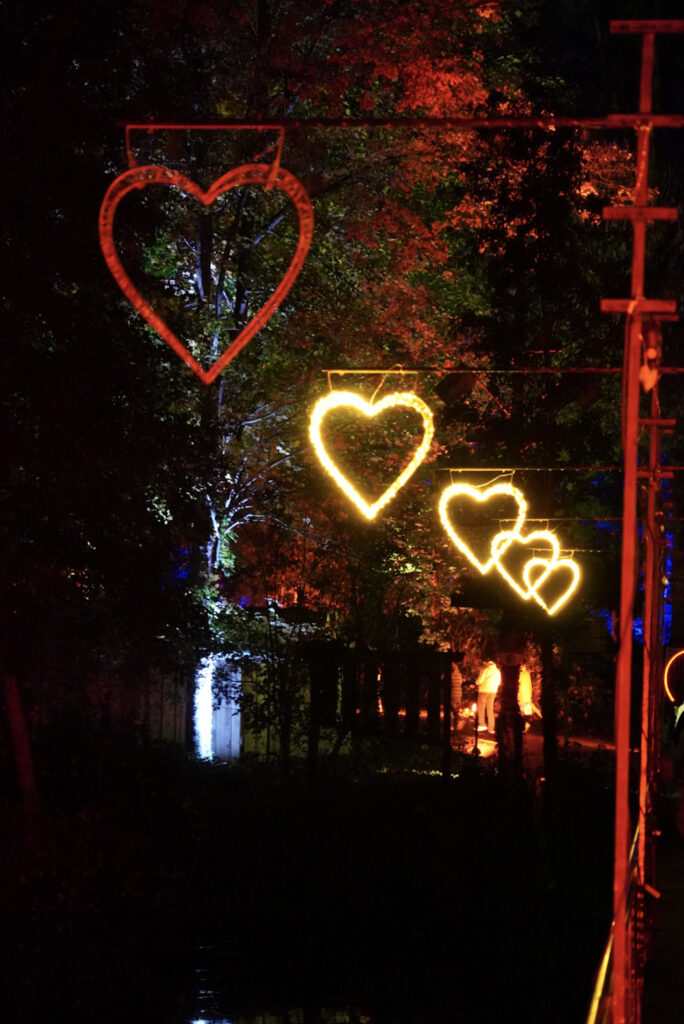 Herbstlichter Br&uuml;ckenkopfpark J&uuml;lich