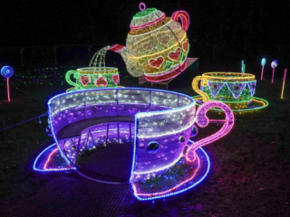 Garden of Lights Garden of Lights