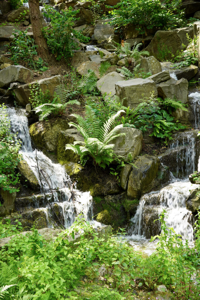 El Mundo Fantasia - Mondo Verde